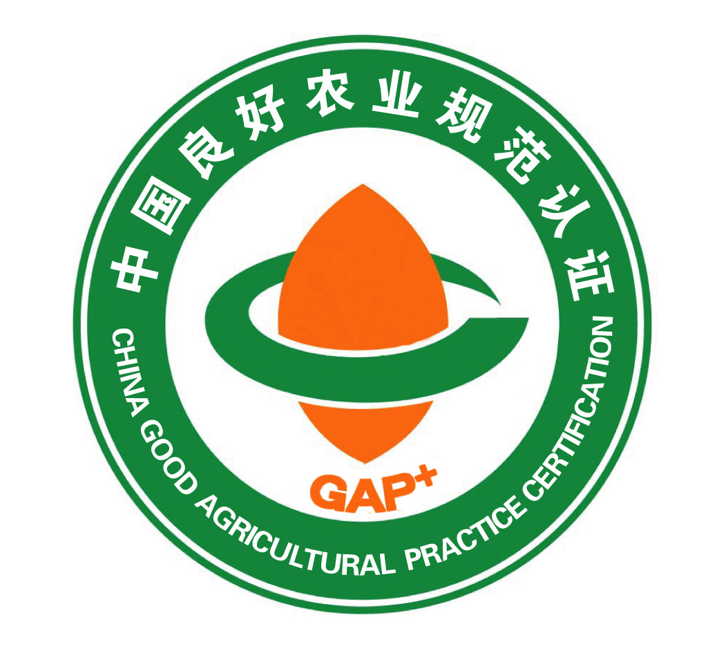 认证3